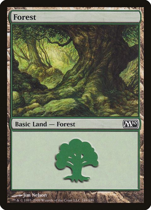 249-forest.jpg