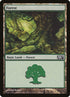 249-forest.jpg