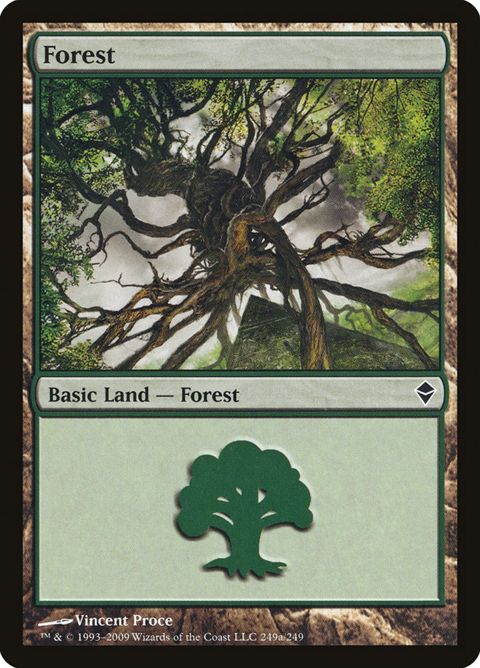 249a-forest.jpg