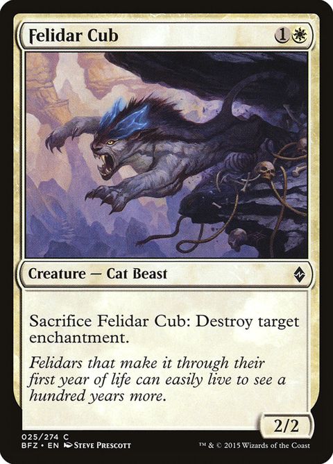 25-felidarcub.jpg