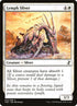 25-lymphsliver.jpg