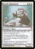 25-woollyrazorback.jpg