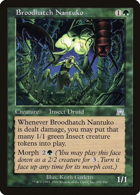 250-broodhatchnantuko.jpg