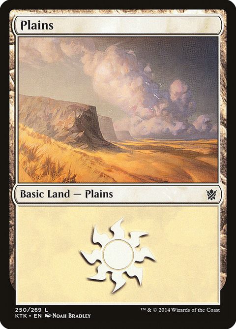 250-plains.jpg