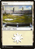 250-plains.jpg