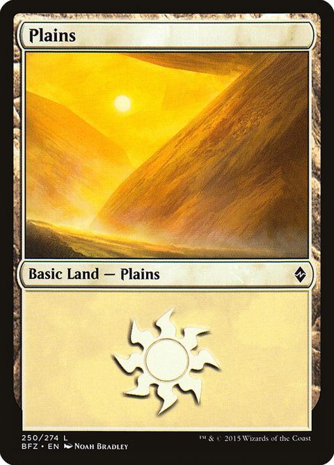 250a-plains.jpg