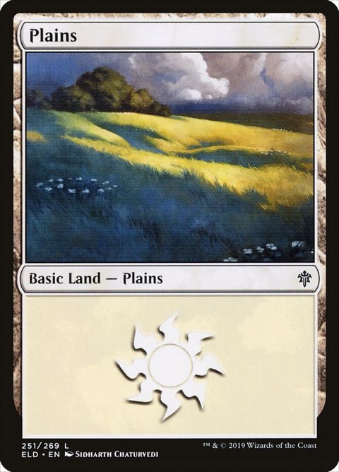 251-plains.jpg