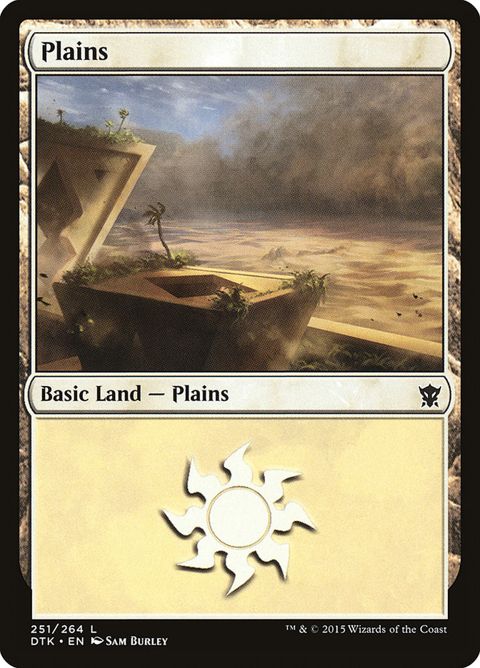 251-plains.jpg