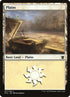 251-plains.jpg