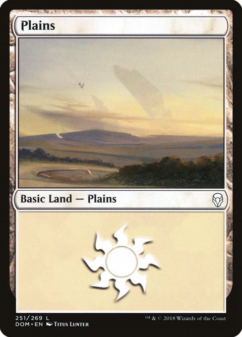 251-plains.jpg