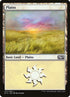 251-plains.jpg