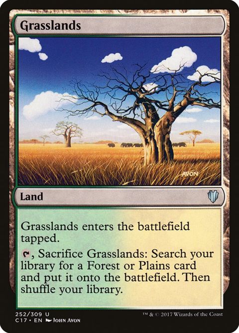 252-grasslands.jpg