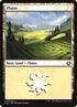 252-plains.jpg