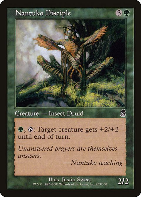 253-nantukodisciple.jpg