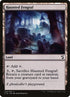 254-hauntedfengraf.jpg
