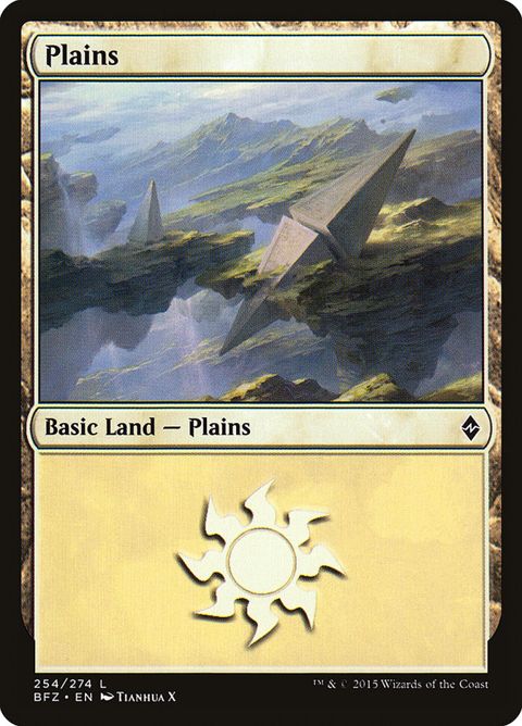 254a-plains.jpg
