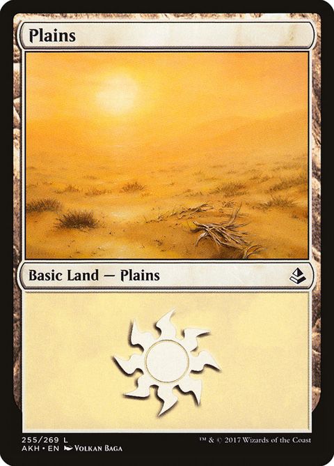 255-plains.jpg