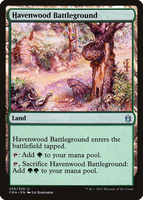 256-havenwoodbattleground.jpg
