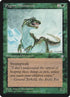 257-pygmyallosaurus.jpg