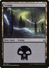 257-swamp.jpg