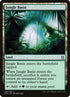 258-junglebasin.jpg