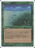 258-lifelace.jpg
