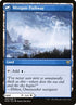 260-hengegatepathwaymistgatepathway-a.jpg