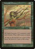 260-naturalaffinity.jpg