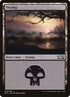260-swamp.jpg