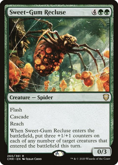 260-sweetgumrecluse.jpg