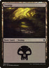 260a-swamp.jpg