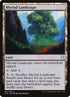 261-myriadlandscape.jpg