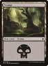 261-swamp.jpg