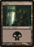 261-swamp.jpg