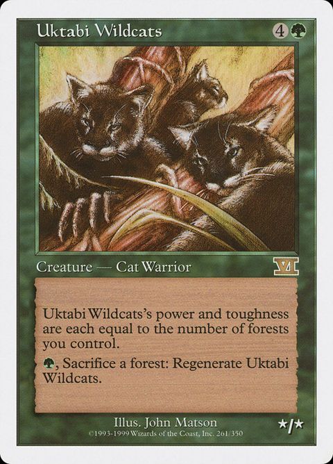 261-uktabiwildcats.jpg
