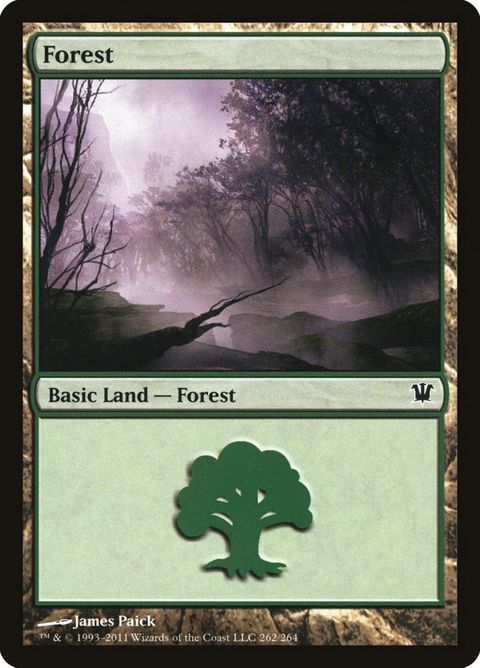 262-forest.jpg
