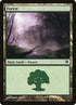 262-forest.jpg