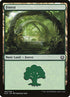 262-forest.jpg