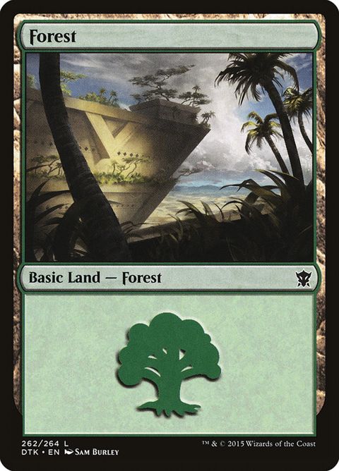 262-forest.jpg