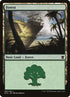 262-forest.jpg