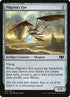 262-pilgrimseye.jpg