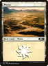 262-plains.jpg