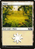 262-plains.jpg