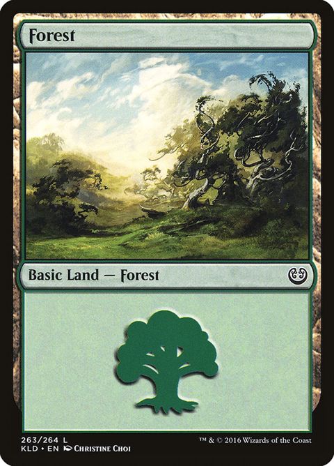 263-forest.jpg