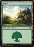 263-forest.jpg
