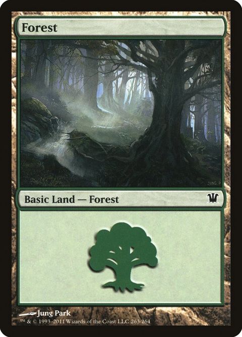 263-forest.jpg