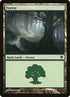 263-forest.jpg