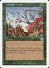 263-untamedwilds.jpg