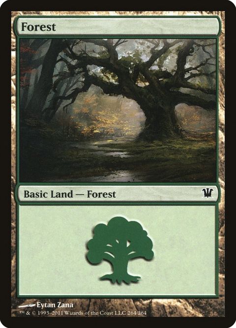 264-forest.jpg