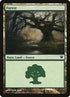 264-forest.jpg